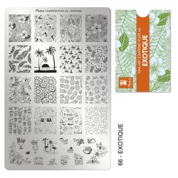 MOYRA - STAMPING PLATE 66 EXOTIQUE